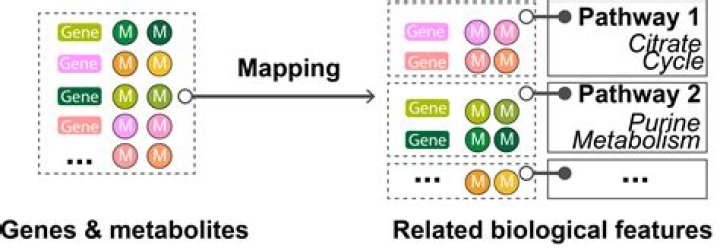 What is pathway analysis gene?