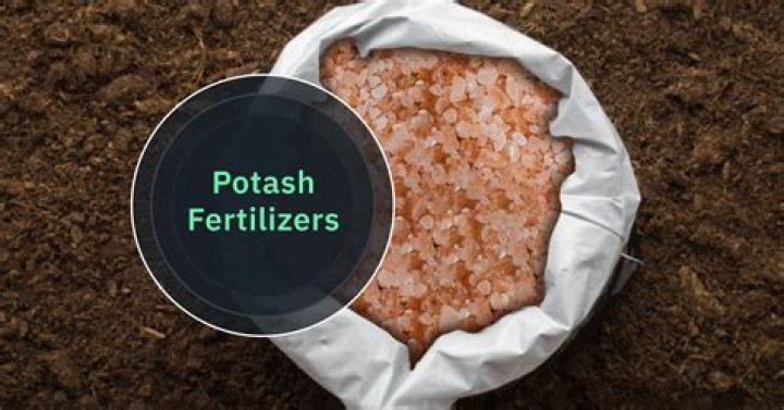 What is potash used for in plants