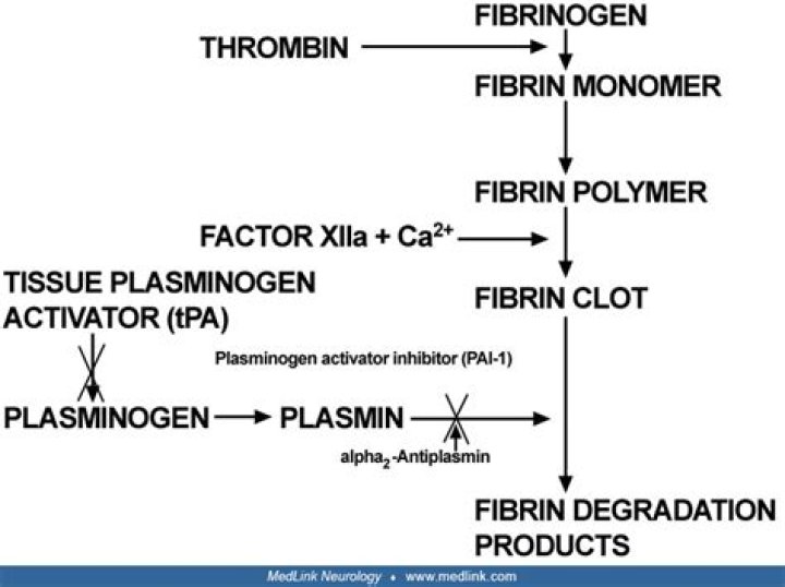 What is recombinant tissue plasminogen activator?