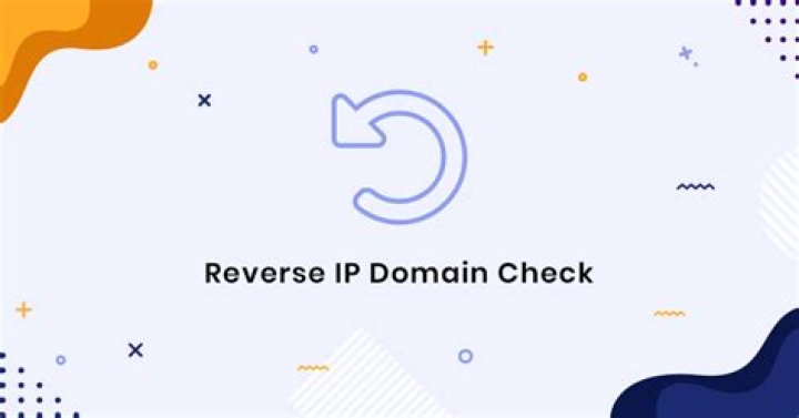 What is reverse IP domain check?
