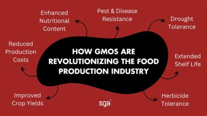 What is the background of GMOS?