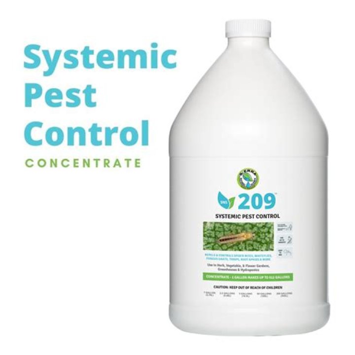 What is the best systemic insecticide