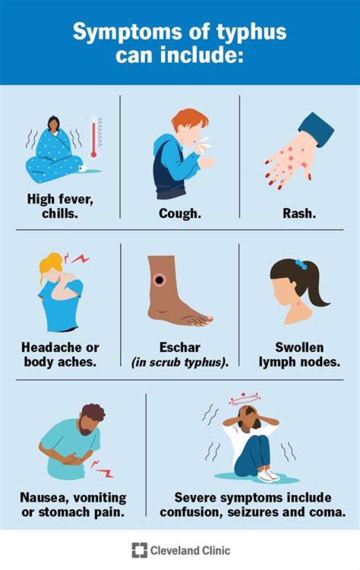 What is the cause of typhus?