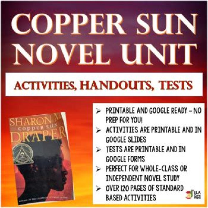 What is the central idea of copper sun
