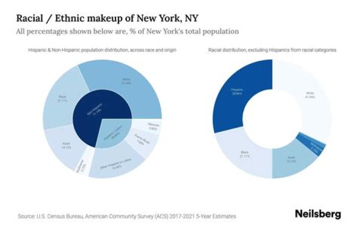 What is the demographic makeup of New York City?