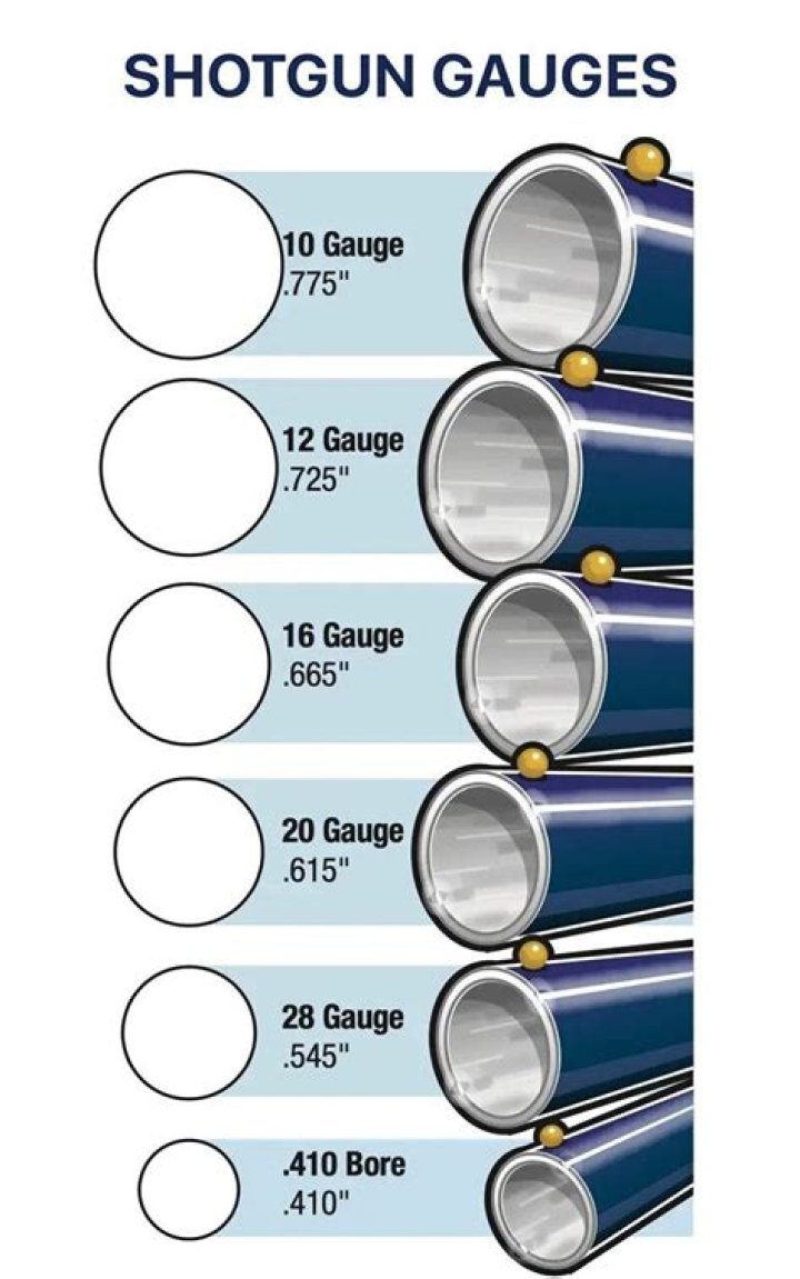 What is the diameter of a shotgun barrel?