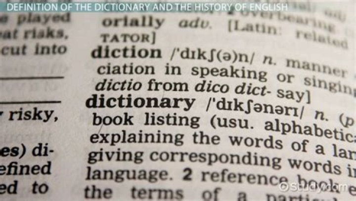 What is the dictionary definition of reference?