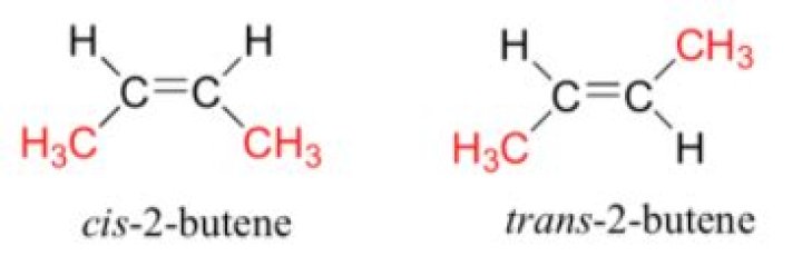 What is the difference between cis butene and trans butene?