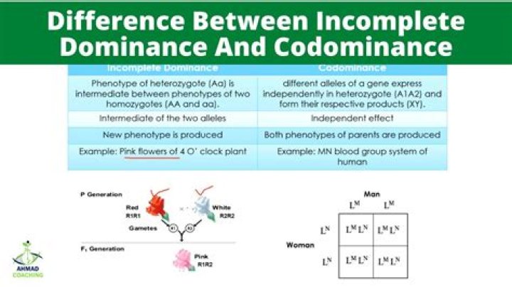 What is the difference between complete and incomplete amino acids?