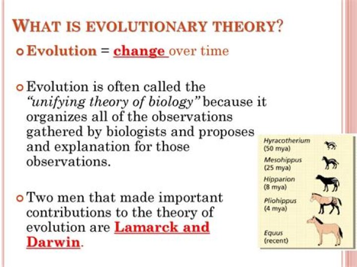 What is the difference between evolutionism and Diffusionism in anthropology?