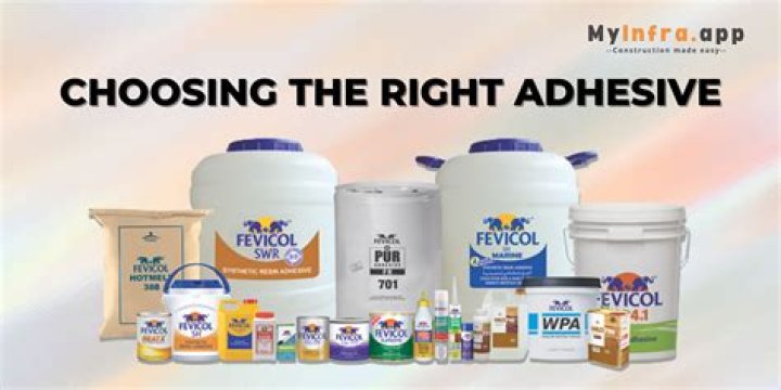 What is the difference between glue and fevicol