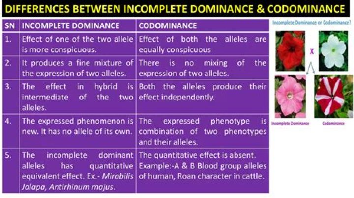What is the difference between incomplete and complete dominance?