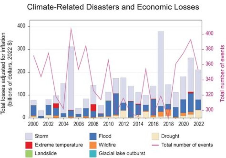 What is the difference between losses and damages?