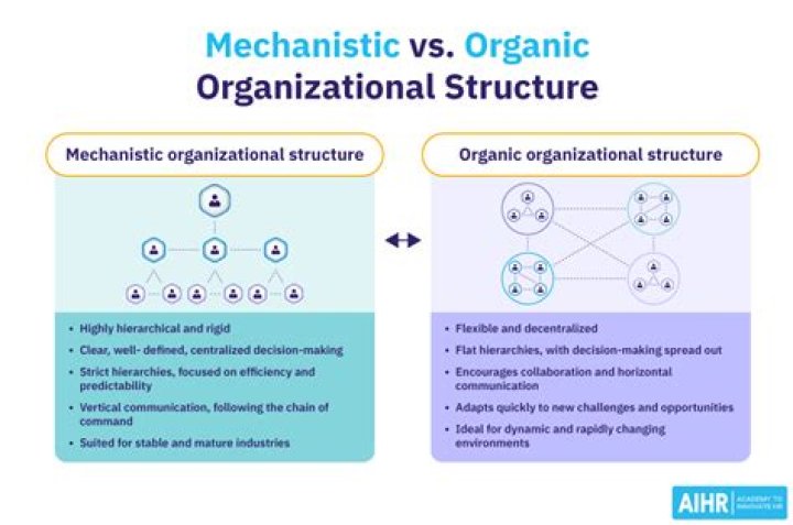 What is the difference between mechanistic or an organic organization?