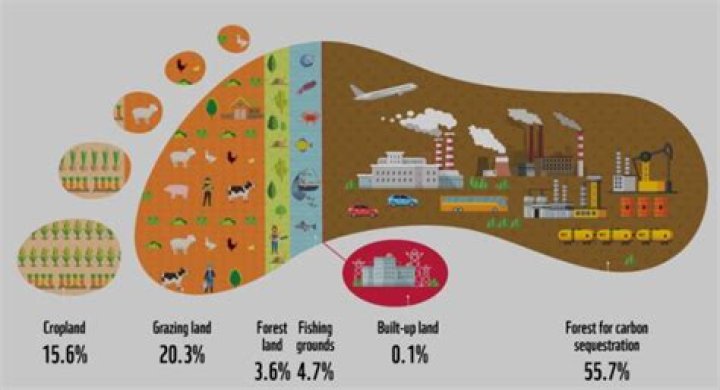 What is the ecological footprint and what does it tell us