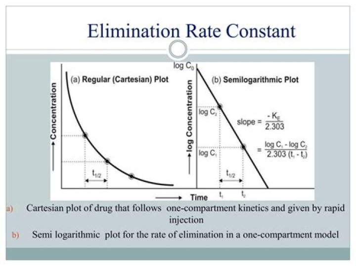 What is the elimination rate constant k?