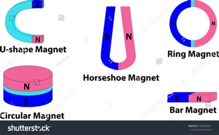 What is the horseshoe magnet called?