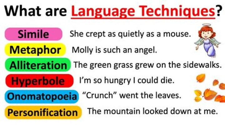 What is the language code for English?