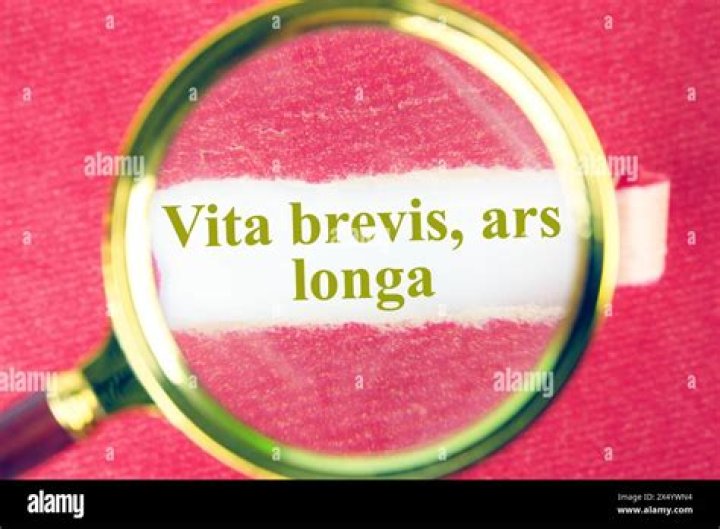 What is the meaning of ars longa, vita brevis?