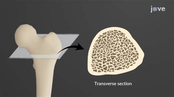 What is the means of fake