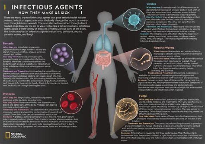 What is the most common infection caused by Staphylococcus aureus?