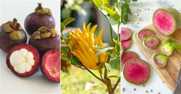 What is the most interesting fruit?