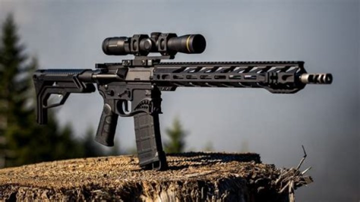 What is the most popular semi auto rifle?