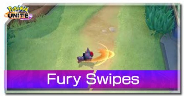 What is the move Fury Swipes?