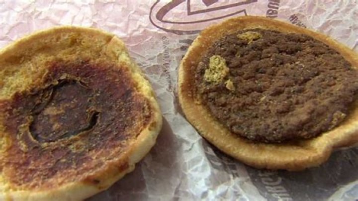 What is the oldest hamburger?