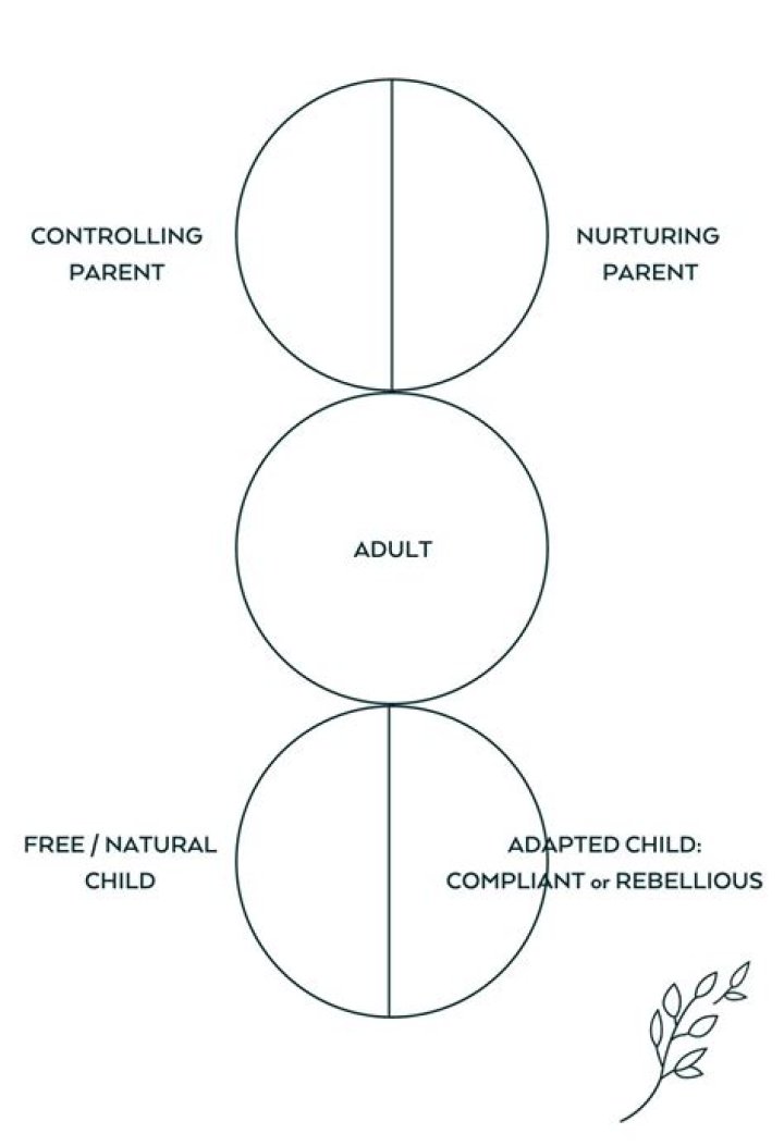 What is the parent adult child model?