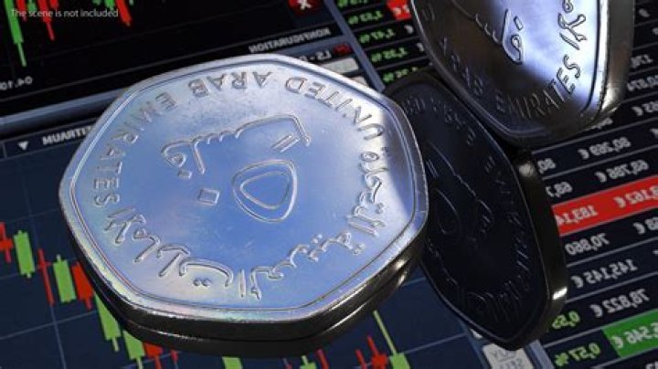 What is the picture on 50 fils coin?