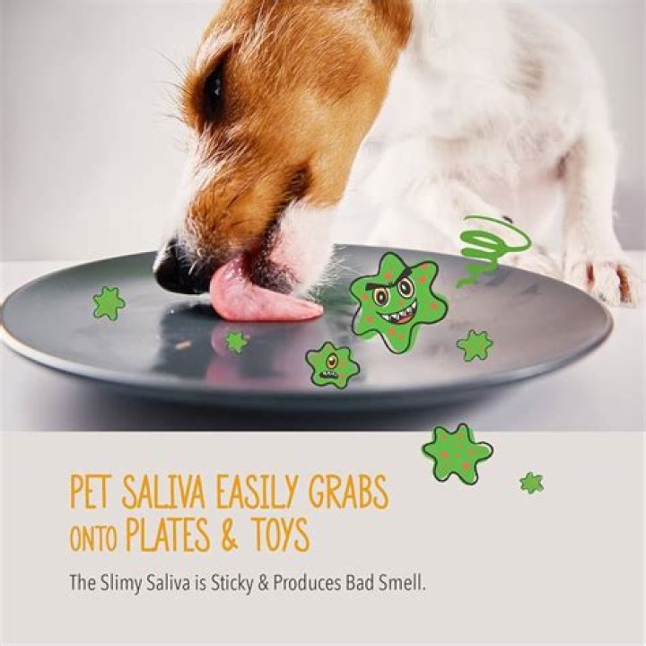 What is the pink slime in my dogs water bowl