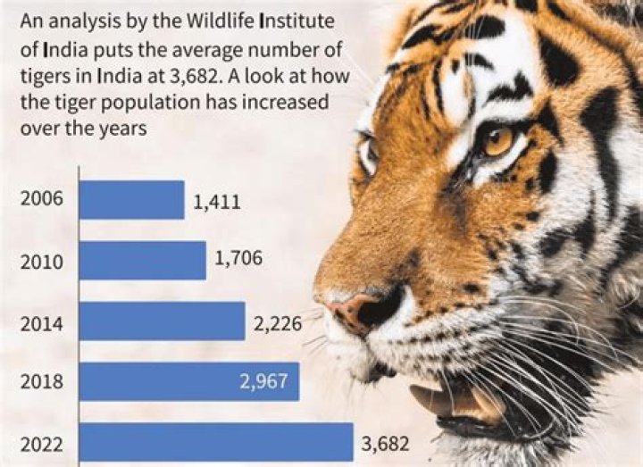 What is the population of Bengal tigers in 2020?