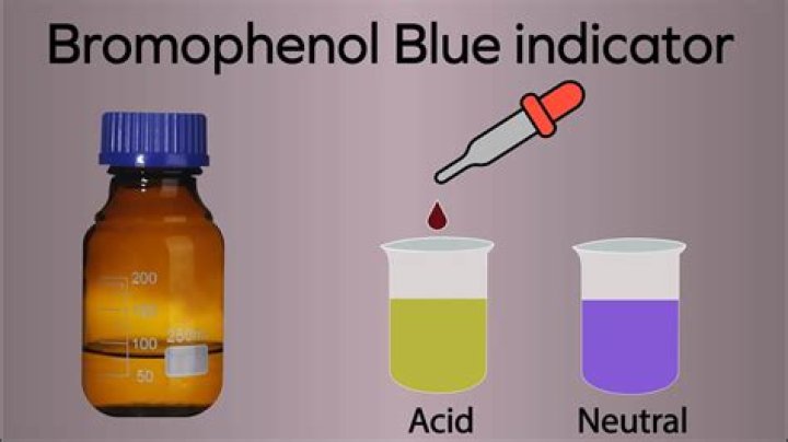 What is the purpose of Bromothymol blue in gel electrophoresis?
