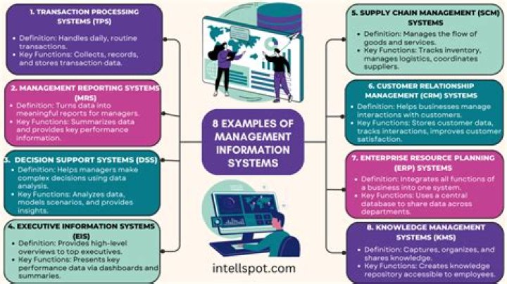 What is the purpose of information systems?