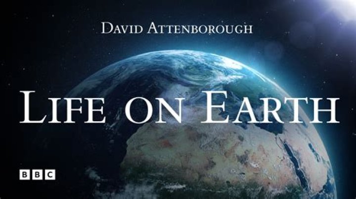 What is the purpose of life on earth according to the Bible?