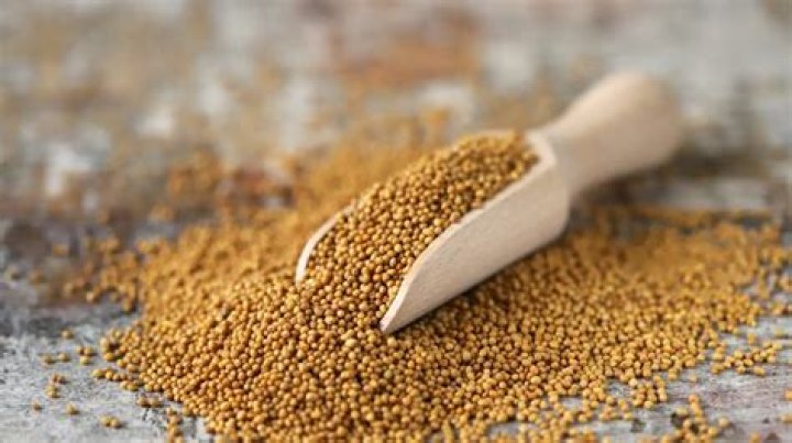 What is the size of a mustard seed