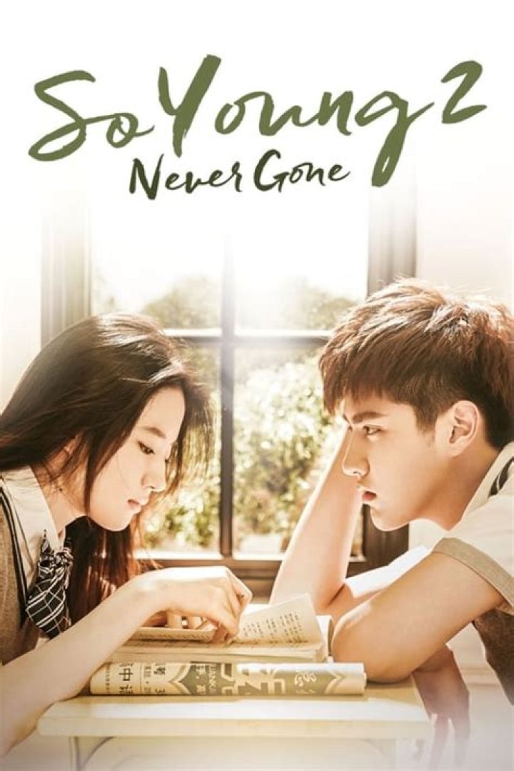 What is the story of so young 2 never gone?