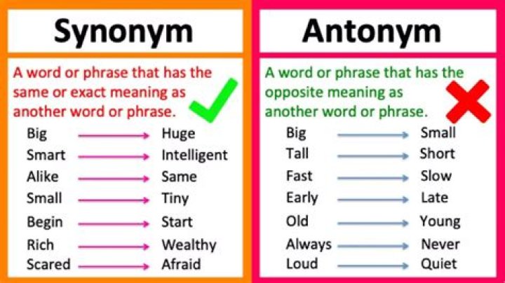 What is the synonym of Analysing?