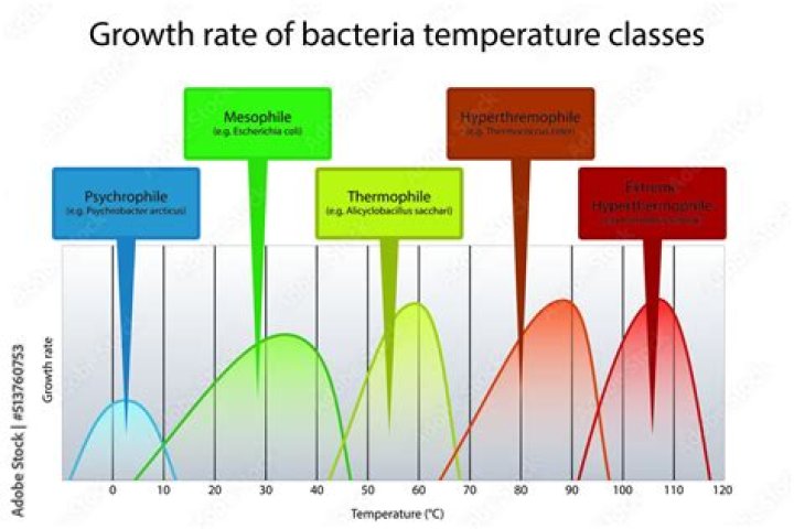 What is the typical temperature range for most oven?