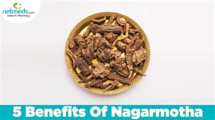 What is the use of Nagarmotha?