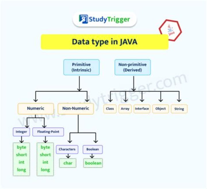 What is vector data type in Java