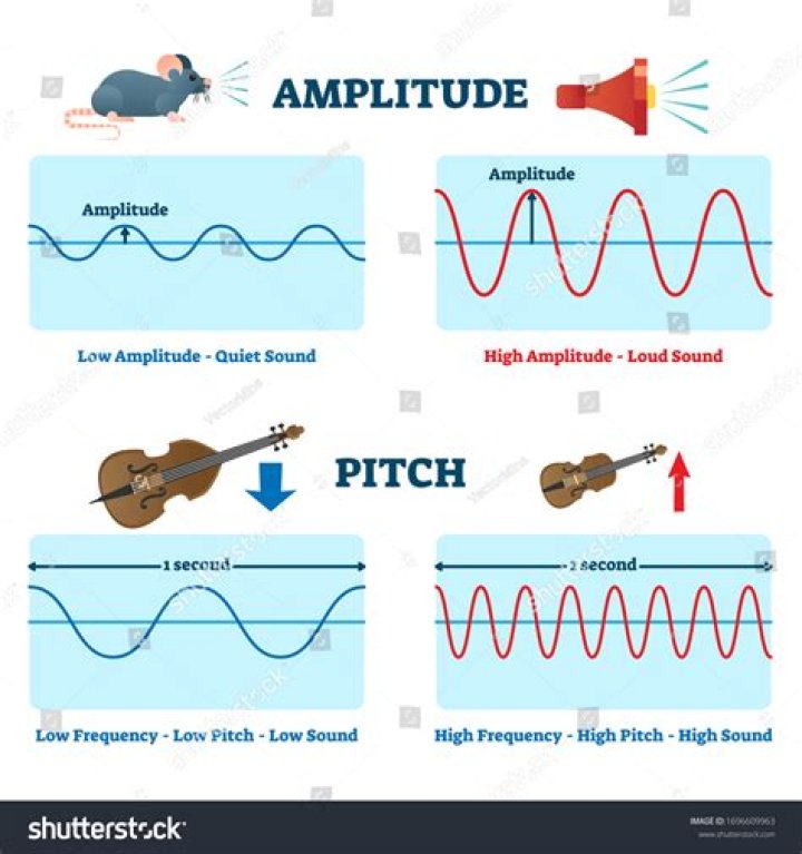 What is voice amplitude?