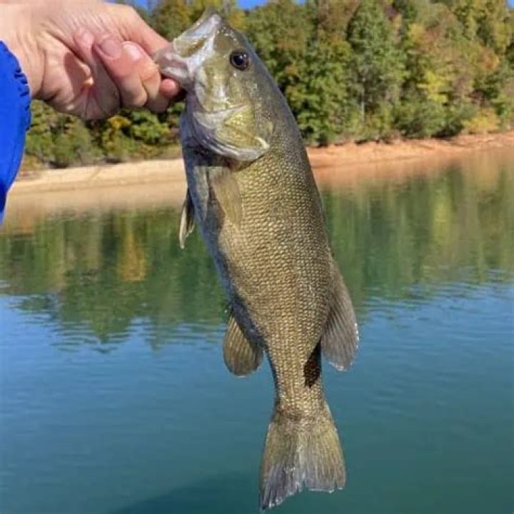 What kind of fish are in Big Lake Alberta?