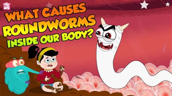 What kingdom do roundworms belong to?
