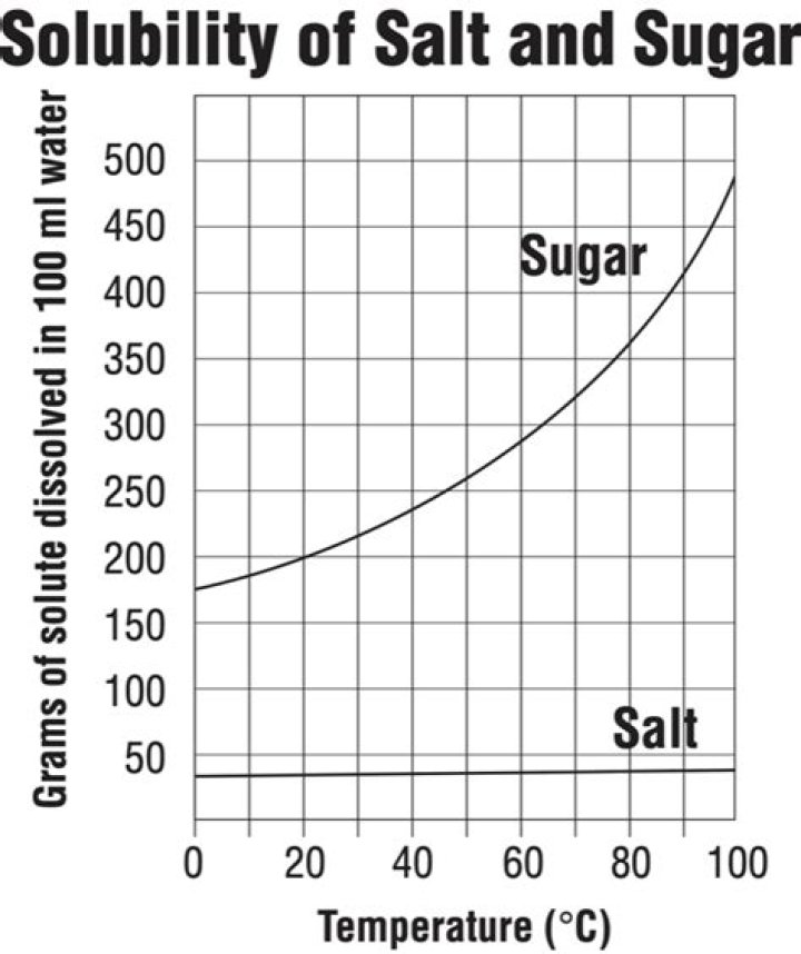 What liquid dissolves marshmallows the fastest?