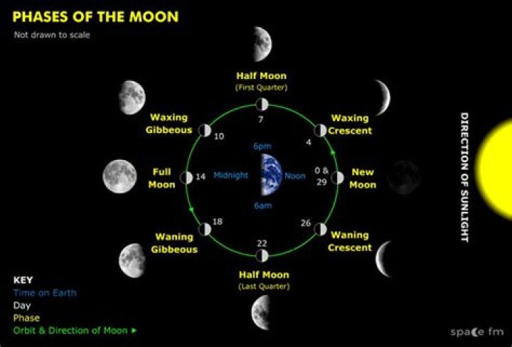 What moon phase rises at midnight