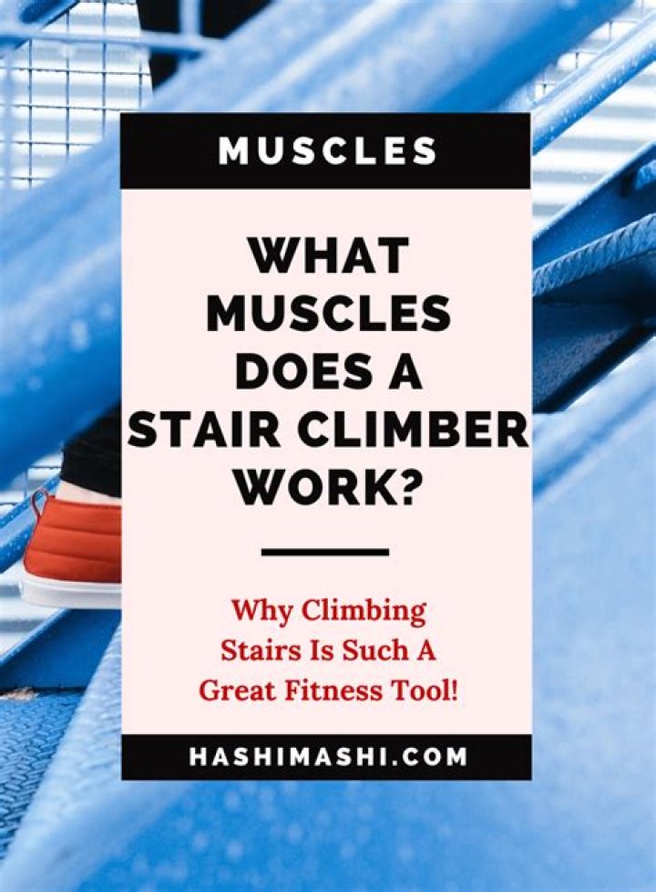 What muscles does a vertical climber work?