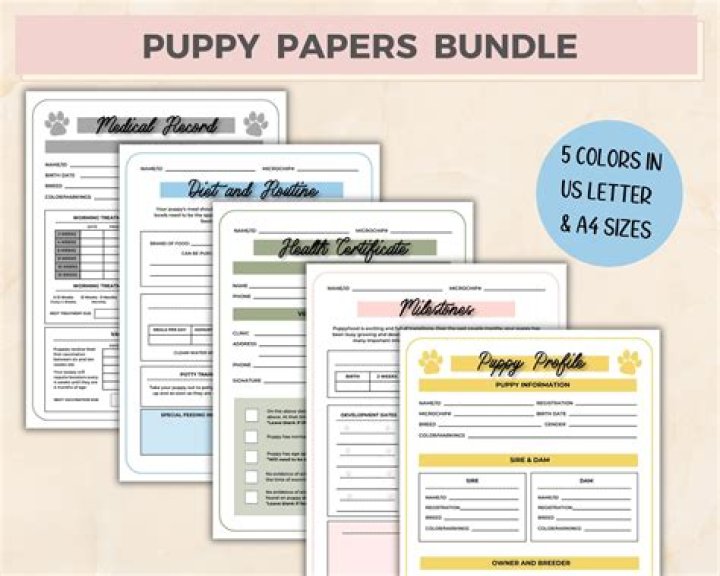 What paperwork should a breeder give you when you buy a puppy?