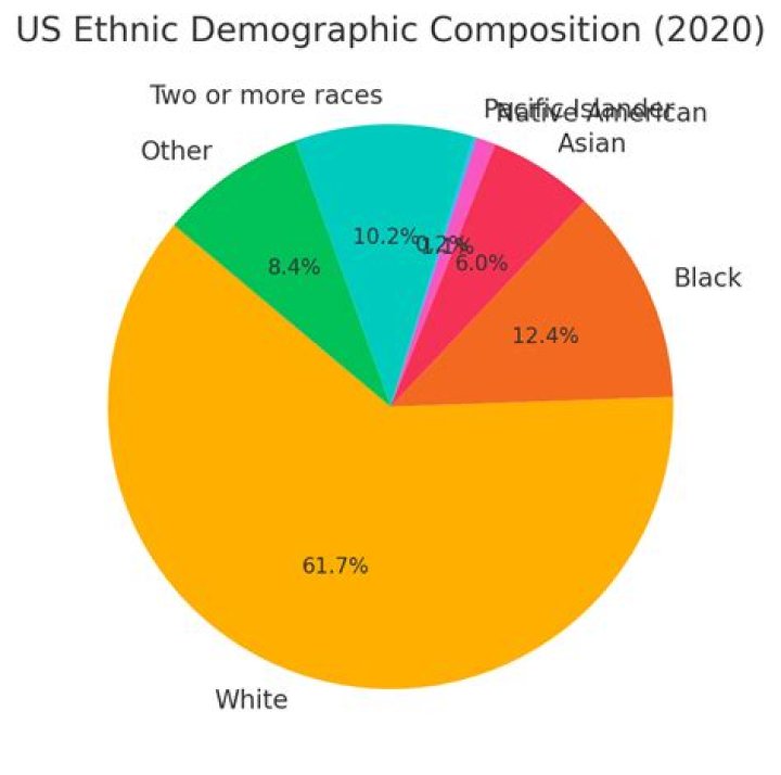 What percentage of the US population is Black census?